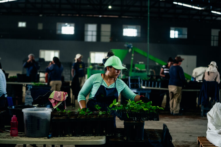 Investancia - Noviembre 2023-33